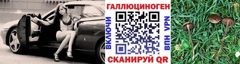 Псилоцибиновые грибы Psilocybine cubensis  мега зеркало  Полевской  дарнет шоп 