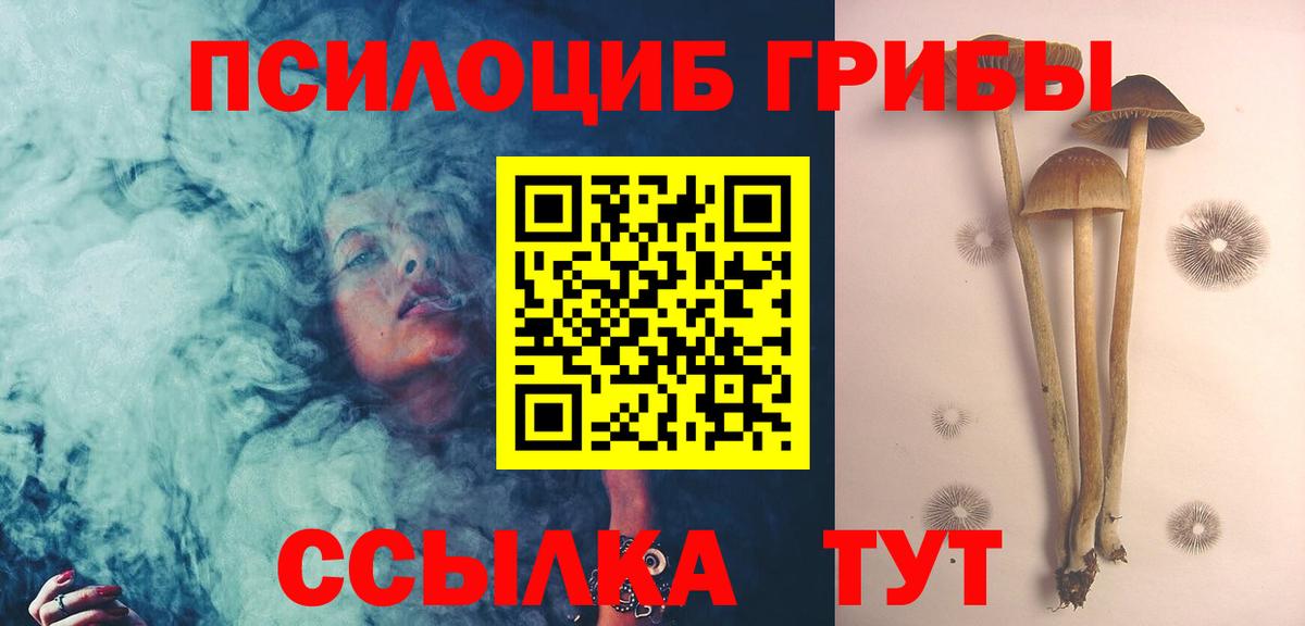 Псилоцибиновые грибы Magic Shrooms Полевской