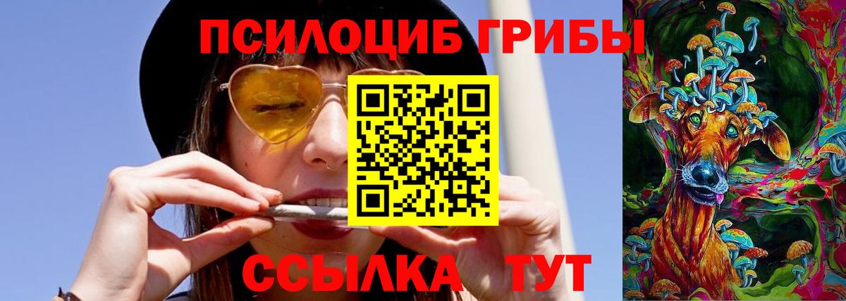 Псилоцибиновые грибы Psilocybe  Вход с VPN  Полевской 